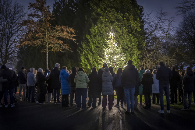 Lichtjesdag 2024 op Begraafplaats Achterambachtseweg - foto: Philip Paleewong Fotografie