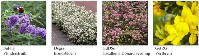 De Schoof_overzicht planten 2