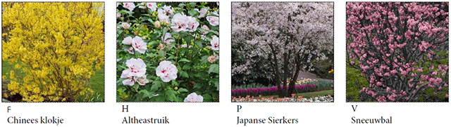 De Schoof_overzicht planten 4