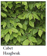 De Schoof_overzicht planten 5