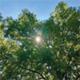 @gemeentehia 20 augustus 2025-introbeeld