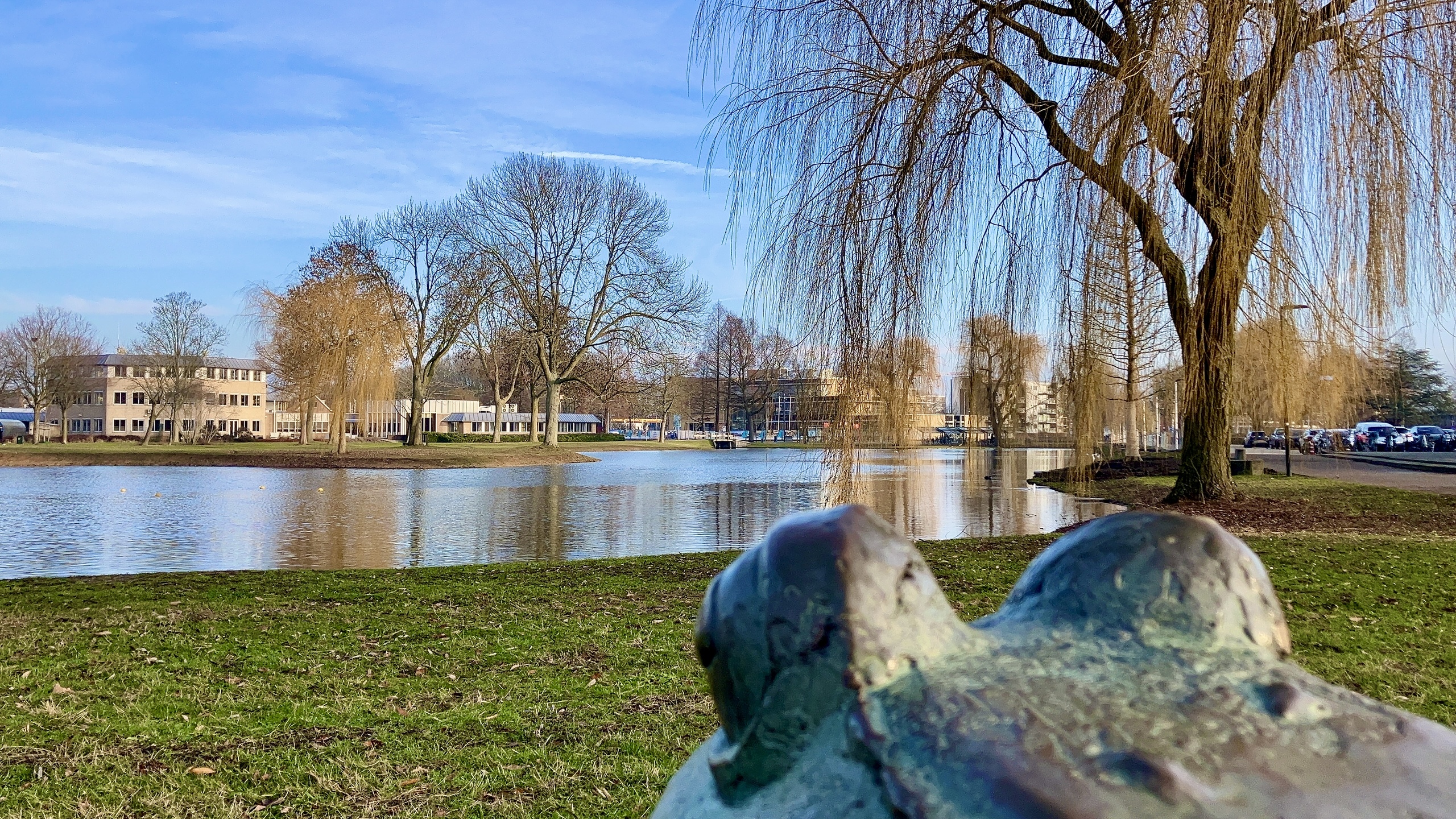 Header foto van 20260123