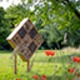 Bijenhotel Baxpark - introbeeld